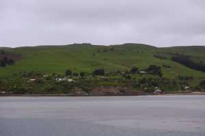 HARINGTON-POINT-DUNEDIN (5)